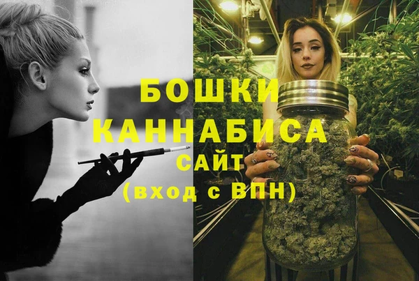 стаф Гусиноозёрск