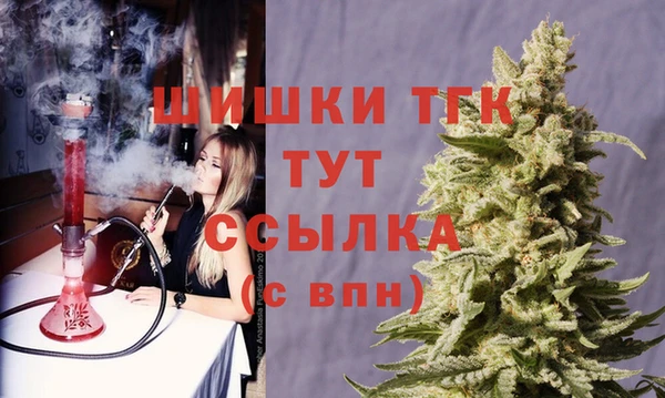 стаф Гусиноозёрск