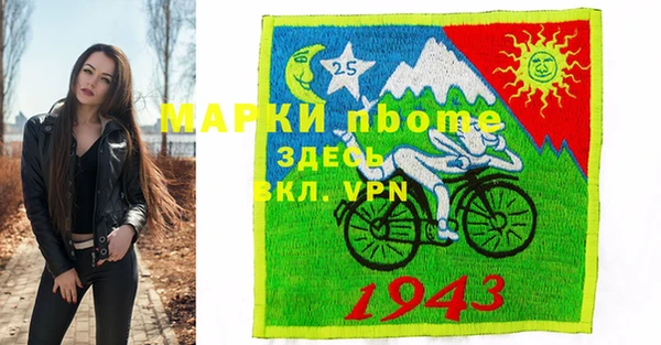 гашик Гусь-Хрустальный