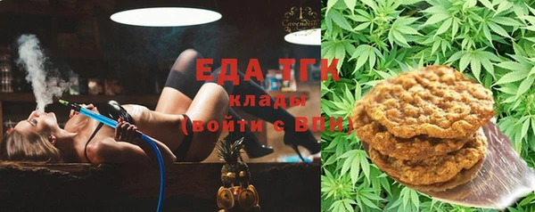 гашик Гусь-Хрустальный