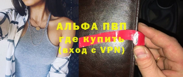 гашик Гусь-Хрустальный