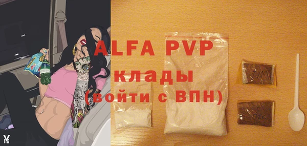 стаф Гусиноозёрск