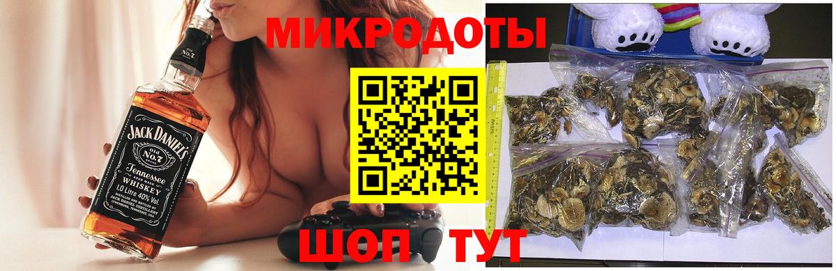 Псилоцибиновые грибы Cubensis Мценск