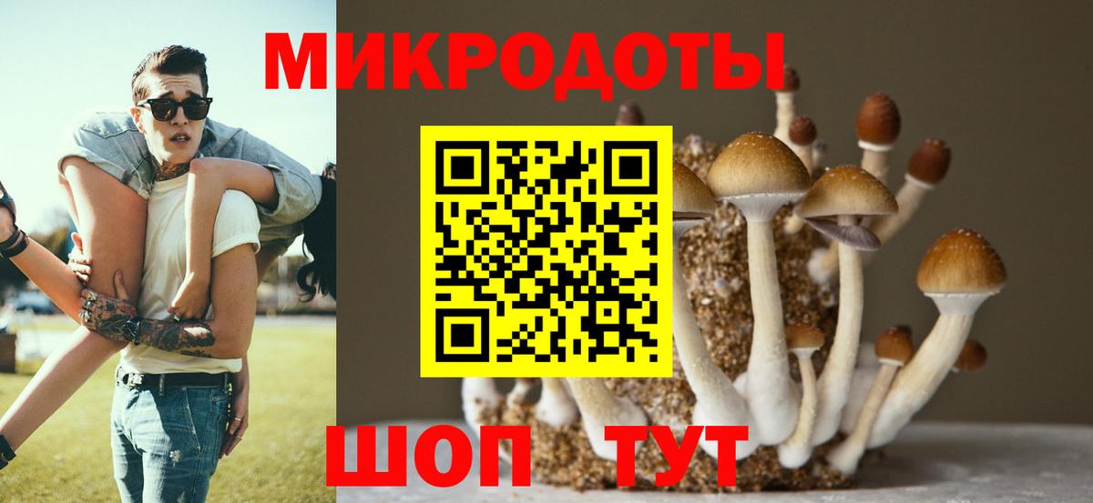 Мценск  Галлюциногенные грибы мухоморы  Вход с VPN 